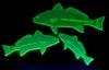Fish - Drum Fish Set (1/4" Acrylic) w/ Eezigrip®